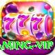 JJ804 - Gaming VIP