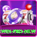 pk2win Pro New